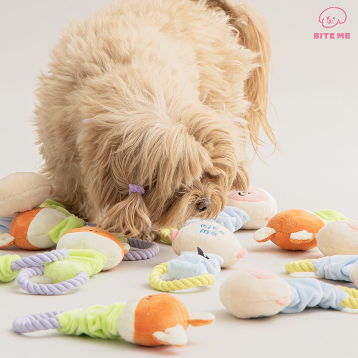 bi19 ソックスモンキーおもちゃ